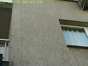 رجل انتزاع الحمار من ...