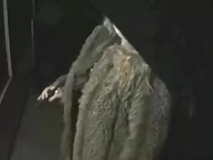 شاب طالب حصلت لها حم ...