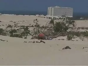 فتاة صور سكس اجنبية  ...