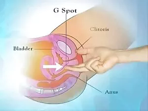 فتاة ساحرة وتبا لاعب ...